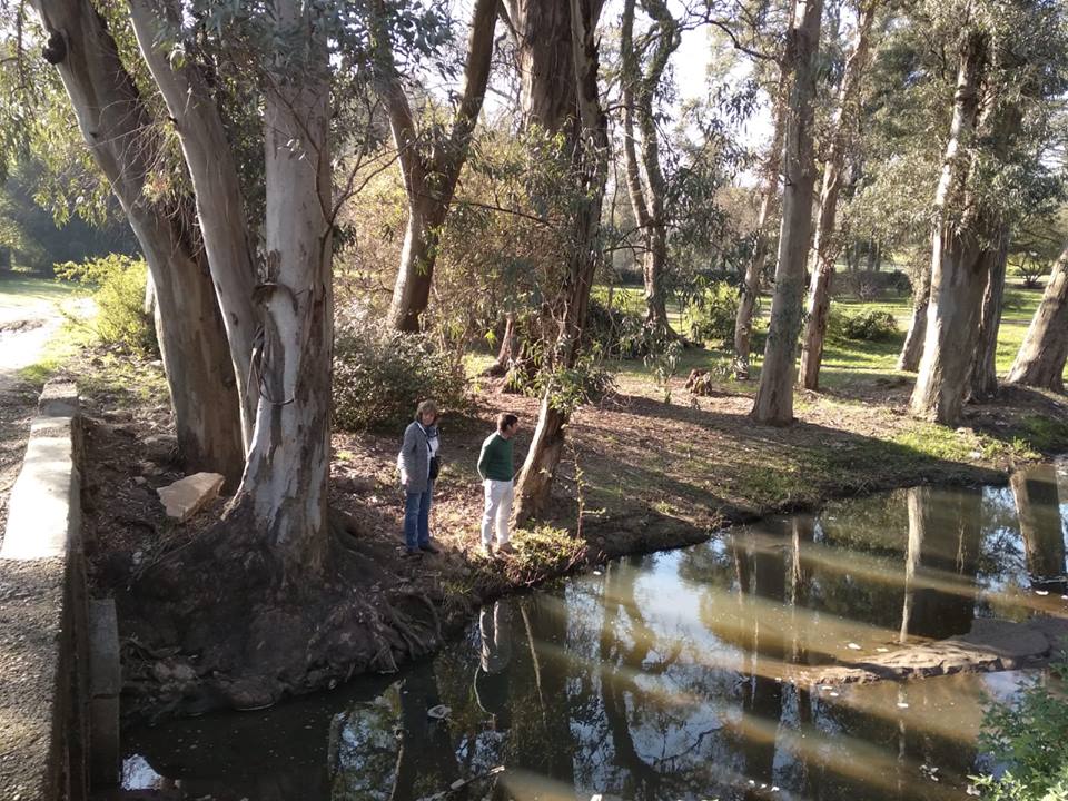 Intendencia se aboca a la recuperación del Parque Solari