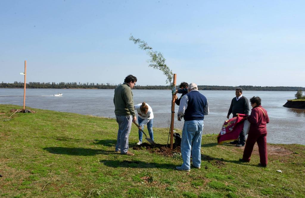 Continúa la plantación de árboles en espacios públicos de la ciudad