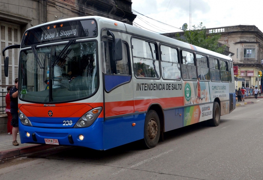 Horarios de ómnibus para este miércoles