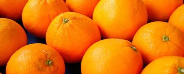 Rechazan naranjas importadas de Uruguay por contener residuos de pesticidas