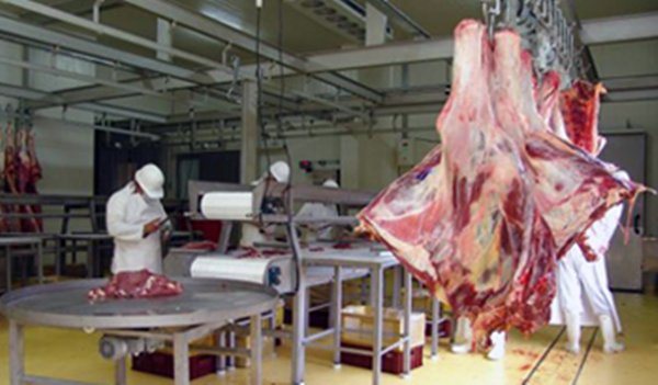 Arabia Saudita habilitó el ingreso de carne vacuna y ovina uruguaya