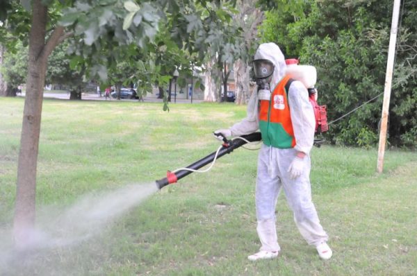 FUMIGACIÓN PARA EL LUNES 23