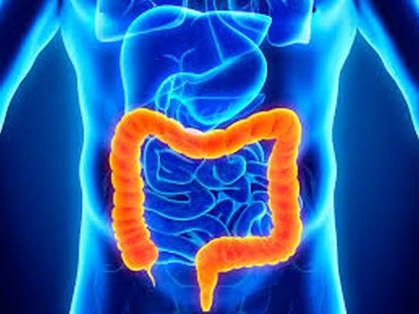 El 19 de mayo se celebra el Día Mundial de la Enfermedad Inflamatoria Intestinal, una enfermedad crónica y a veces progresiva del tracto gastrointestinal, que afecta a hombres y mujeres y que se inicia entre los 15 y 35 años, cuando se está en plena etapa laboral y de formación